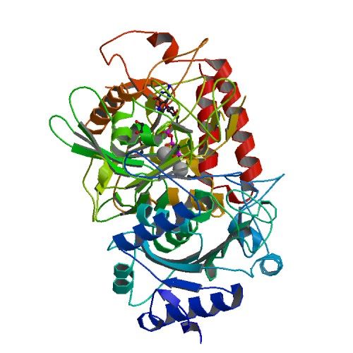 File:PBB Protein PCK1 image.jpg