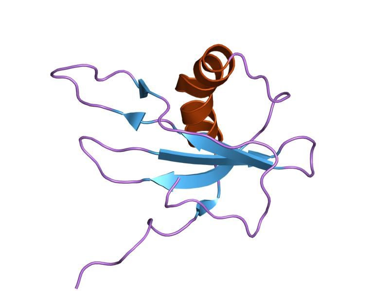 File:PDB 1gd3 EBI.jpg