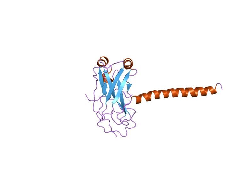 File:PDB 1kzz EBI.jpg