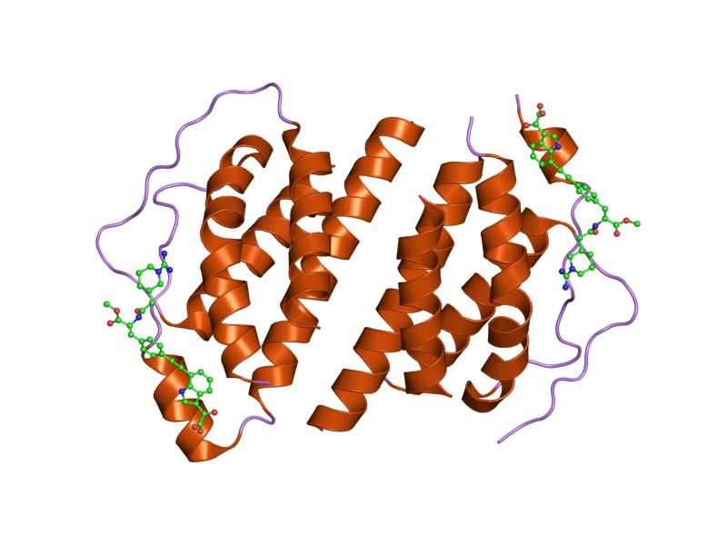 File:PDB 1m49 EBI.jpg