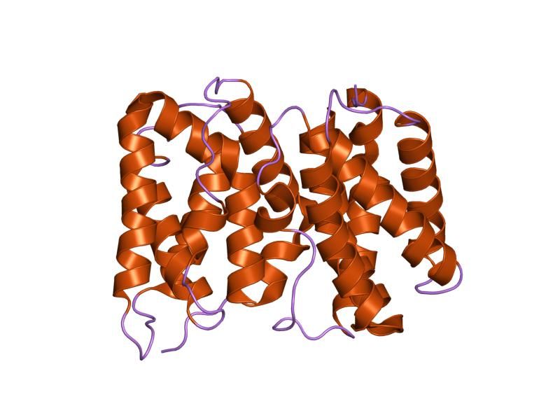 File:PDB 1m4r EBI.jpg