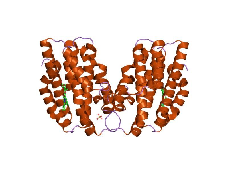 File:PDB 1n45 EBI.jpg