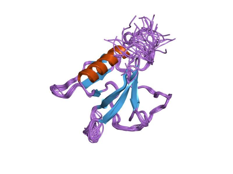 File:PDB 1v88 EBI.jpg