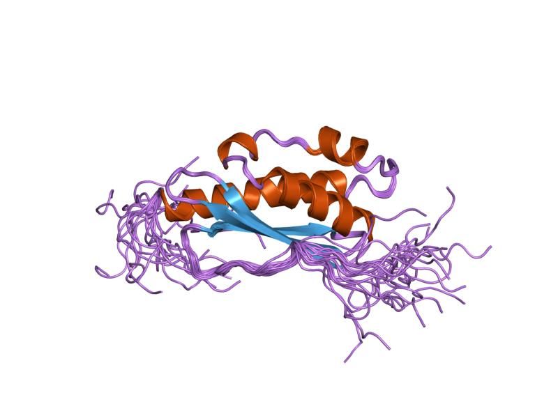 File:PDB 1wfz EBI.jpg