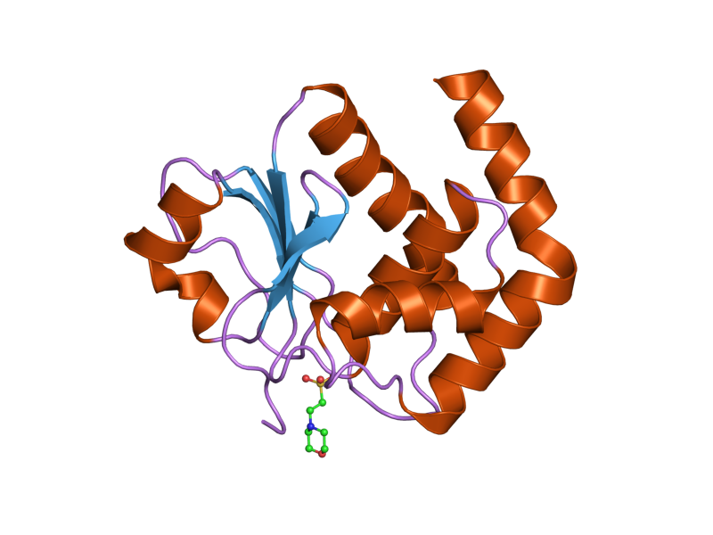 File:PDB 1wrm EBI.png