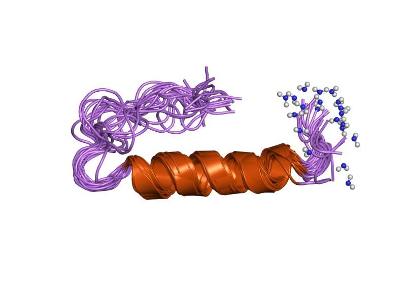 File:PDB 2df0 EBI.jpg