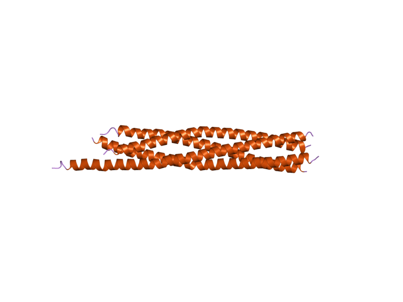 File:PDB 2nps EBI.png