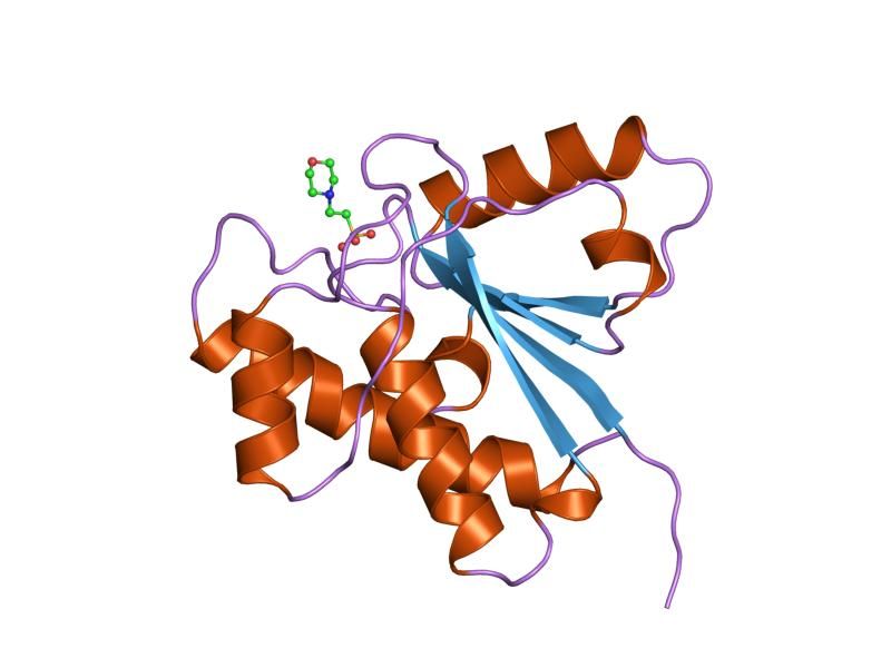 File:PDB 5pnt EBI.jpg