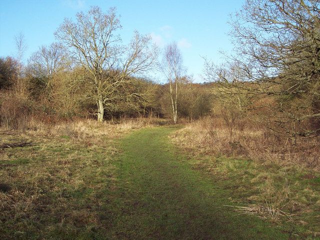 File:Stockbridge Down - geograph.org.uk - 317756.jpg