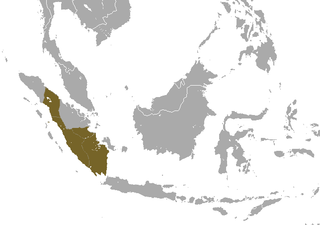 File:Sumatran Surili area.png