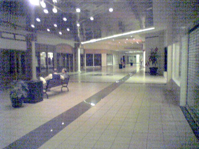 File:Tanglewood Mall dead wing.jpg