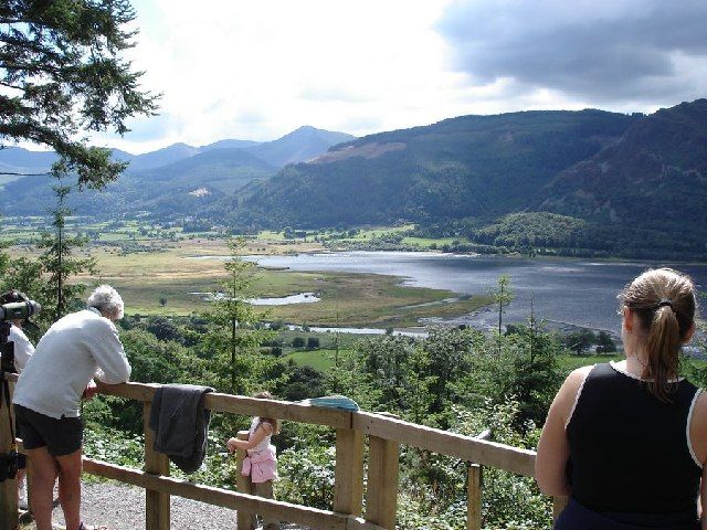 File:Underskiddaw - Osprey Viewpoint.jpg