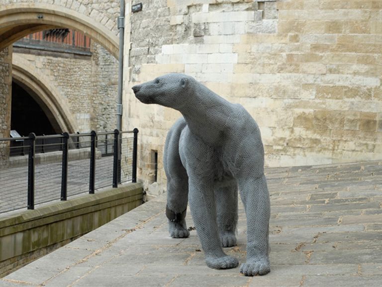 File:10.Haste-Polar Bear at the Tower of London.jpg