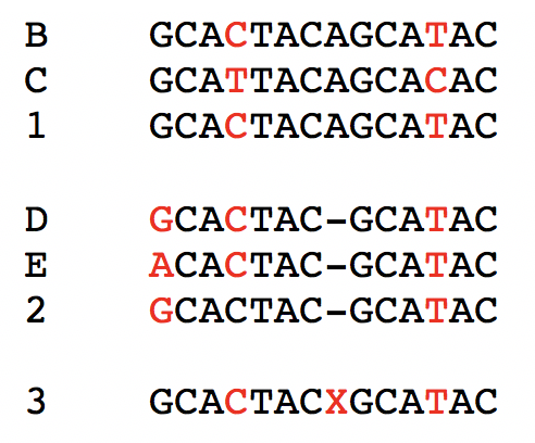 File:Ancestral sequence reconstruction.png