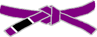 File:BJJ Purple Belt.PNG