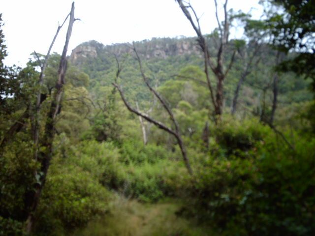 File:Cliff on Mount Keira.jpg