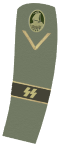 File:Freikorps - Marinebrigade Ehrhardt OR-2 (1919-1933).png