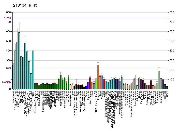 File:PBB GE RBM22 218134 s at fs.png