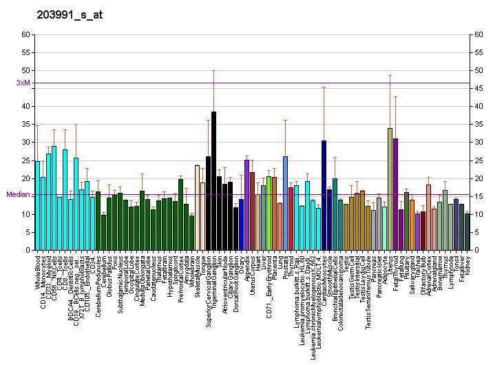 File:PBB GE UTX 203991 s at fs.png