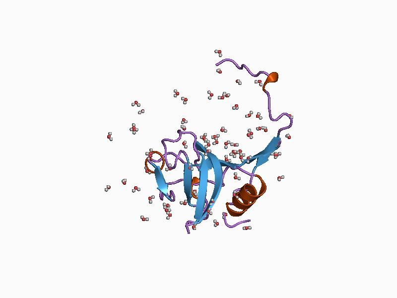 File:PDB 1cjl EBI.jpg