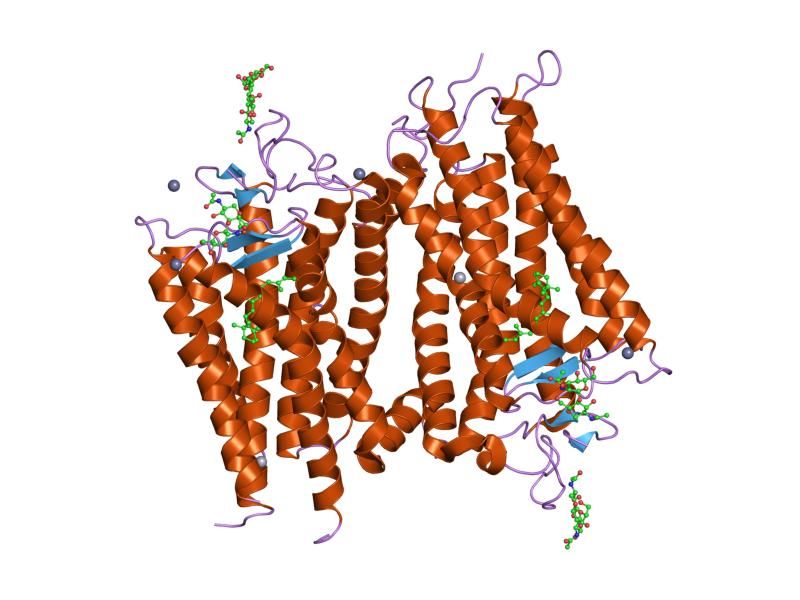 File:PDB 1f88 EBI.jpg