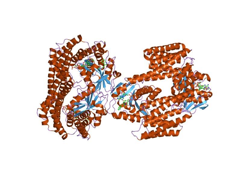 File:PDB 1ib1 EBI.jpg