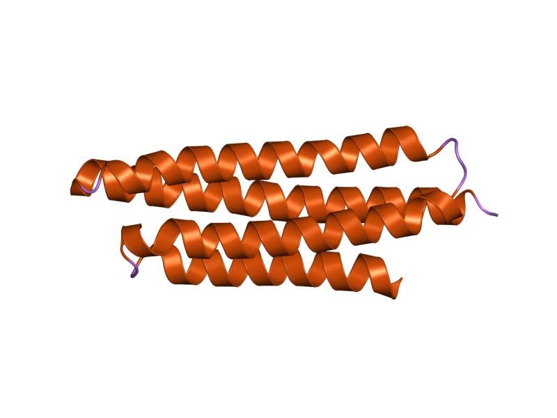 File:PDB 1k40 EBI.jpg