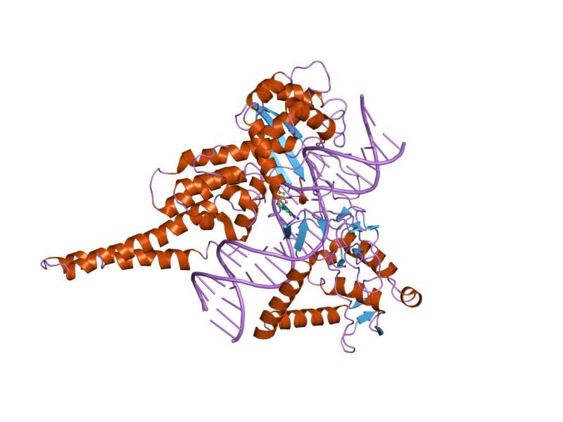 File:PDB 1lpq EBI.jpg