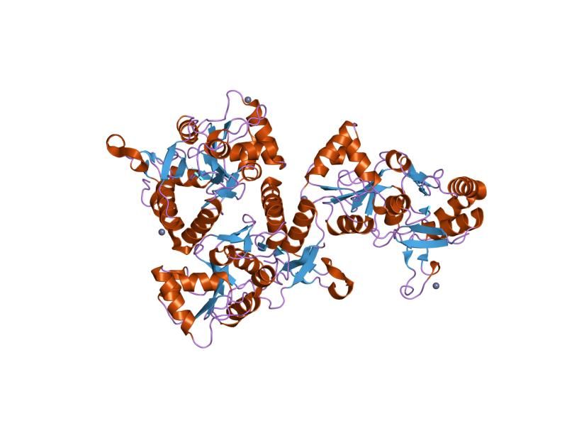 File:PDB 1mxy EBI.jpg