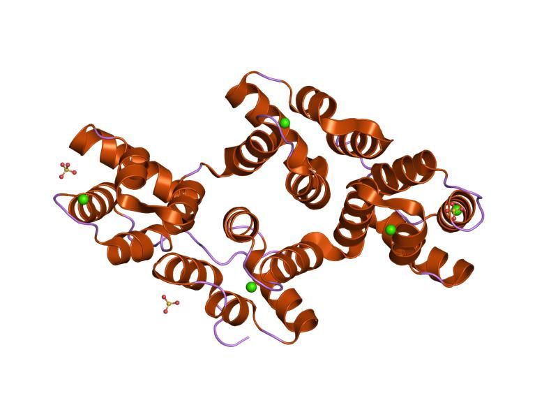 File:PDB 1n42 EBI.jpg