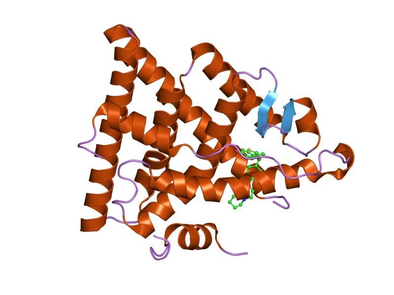 File:PDB 1sj0 EBI.jpg