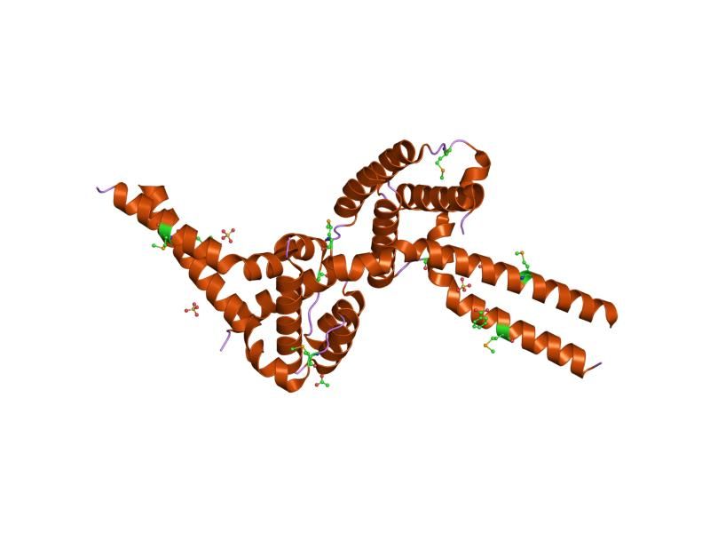 File:PDB 1uuj EBI.jpg