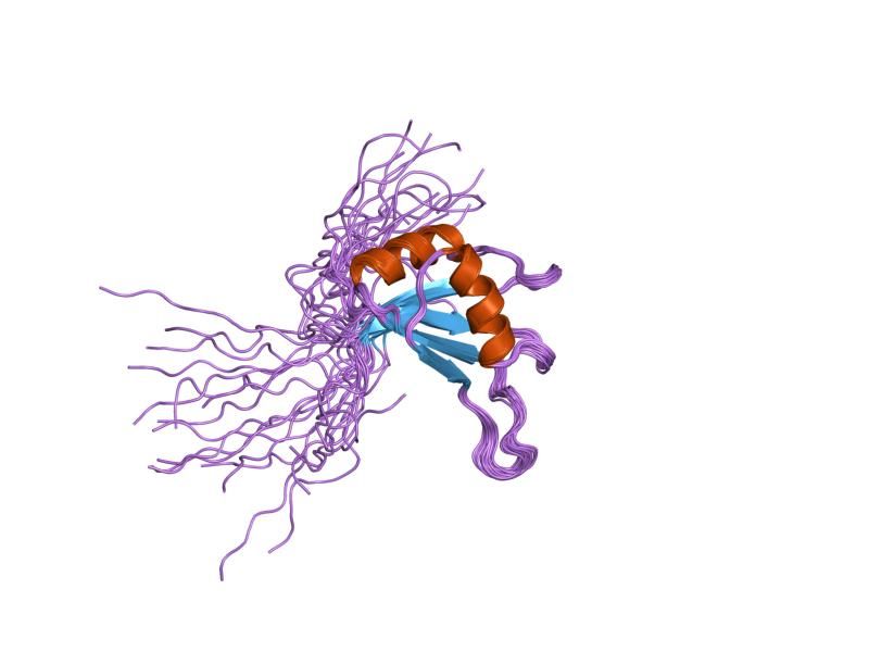 File:PDB 1x5s EBI.jpg