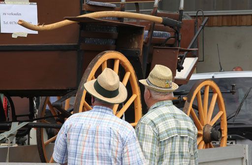 File:Pferdemarkt Miesbach 04.jpg