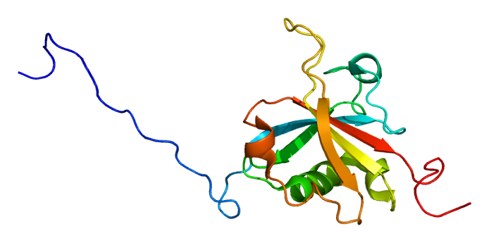 File:Protein SAP18 PDB 2hde.png