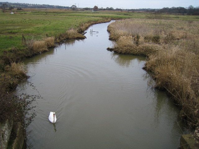 File:River Yar - geograph.org.uk - 120713.jpg