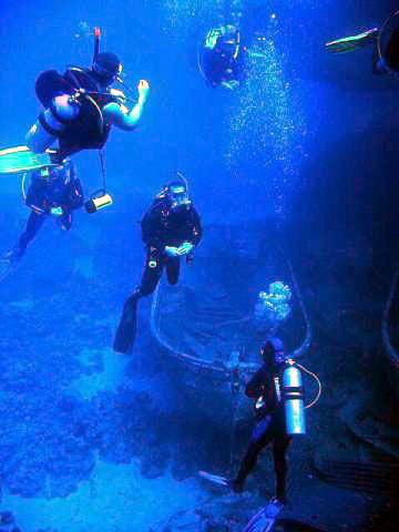 File:Scuba-diving.jpg