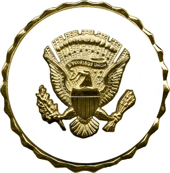 File:US - Vice Presidential Service Badge.png