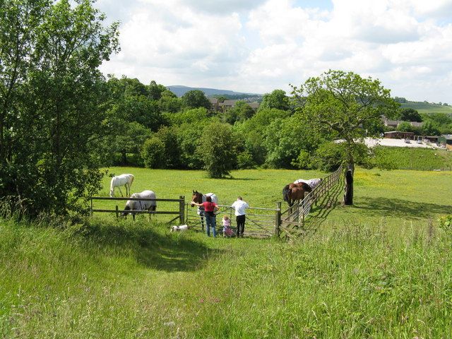 File:New Friends - geograph.org.uk - 1380856.jpg