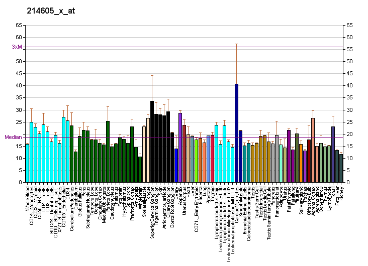 File:PBB GE GPR1 214605 x at fs.png