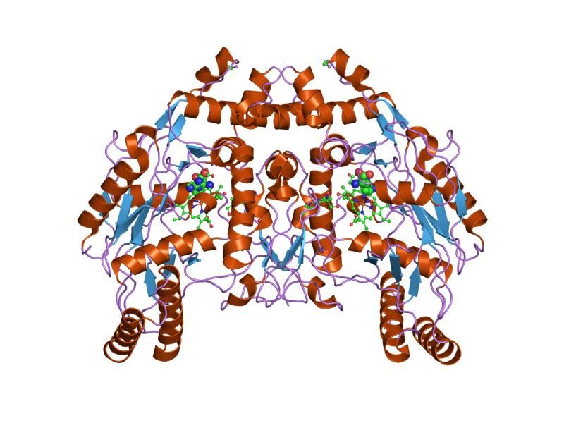 File:PDB 1fop EBI.jpg