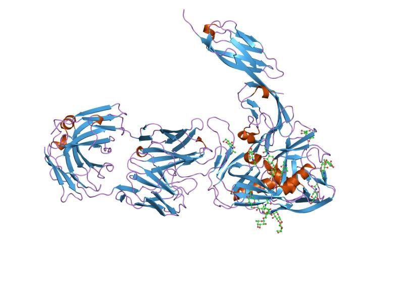 File:PDB 1gc1 EBI.jpg