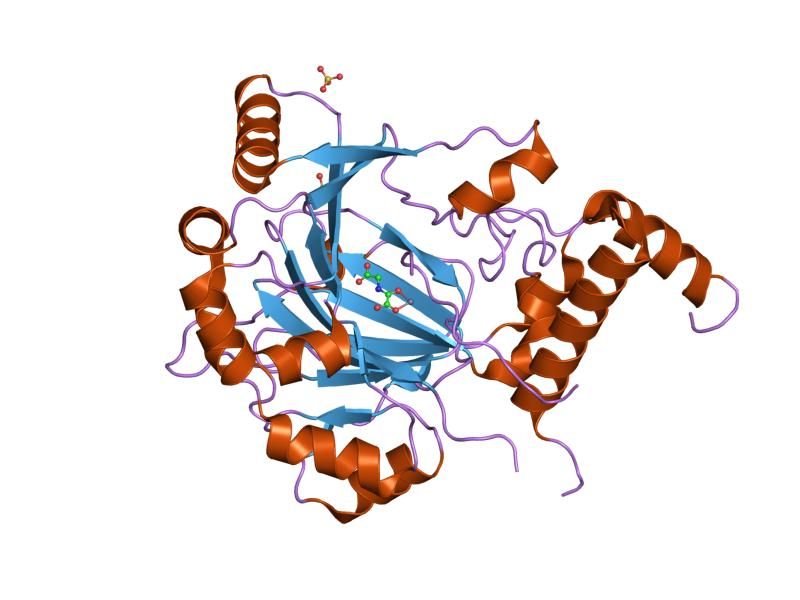 File:PDB 1h2m EBI.jpg