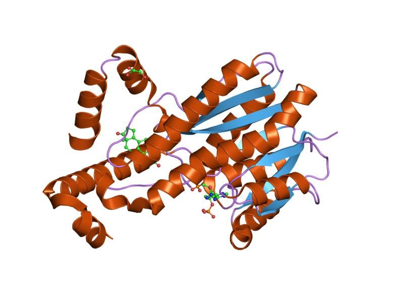 File:PDB 1qyx EBI.jpg