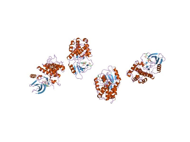 File:PDB 1ua2 EBI.jpg