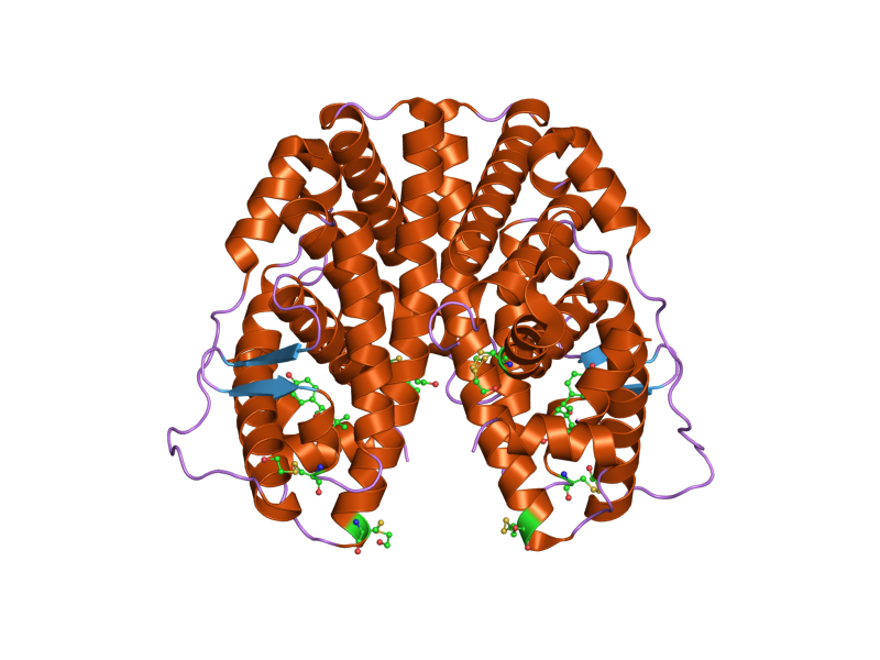 File:PDB 2fai EBI.png