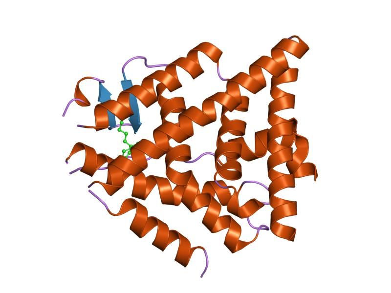 File:PDB 2giu EBI.jpg