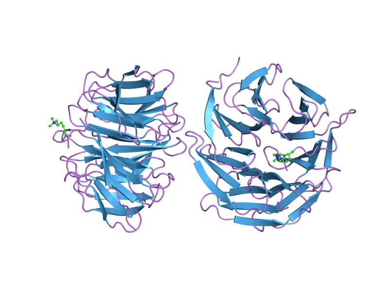 File:PDB 2h6q EBI.png