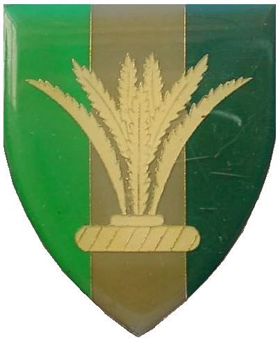 File:SWATF Sector 10 Signals Unit emblem.jpg