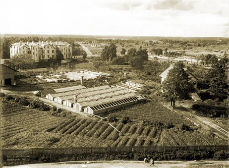 File:Töölö Malminkadulta, Helsinki 1907.jpg